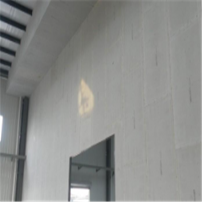合江新型建筑材料掺多种工业废渣的ALC|ACC|FPS模块板材轻质隔墙板